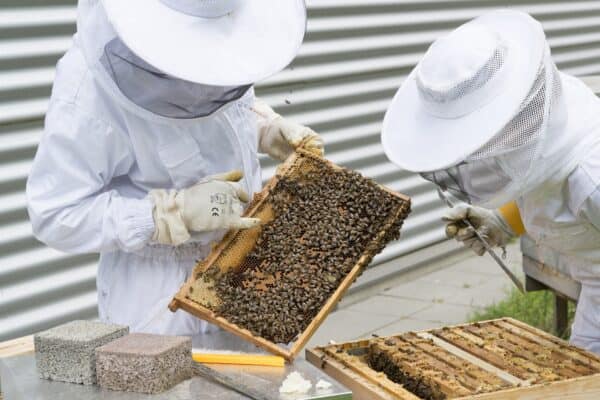 Экипировка пчеловодов